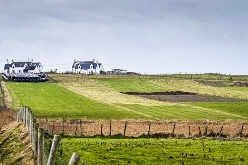 Field with houses in the back