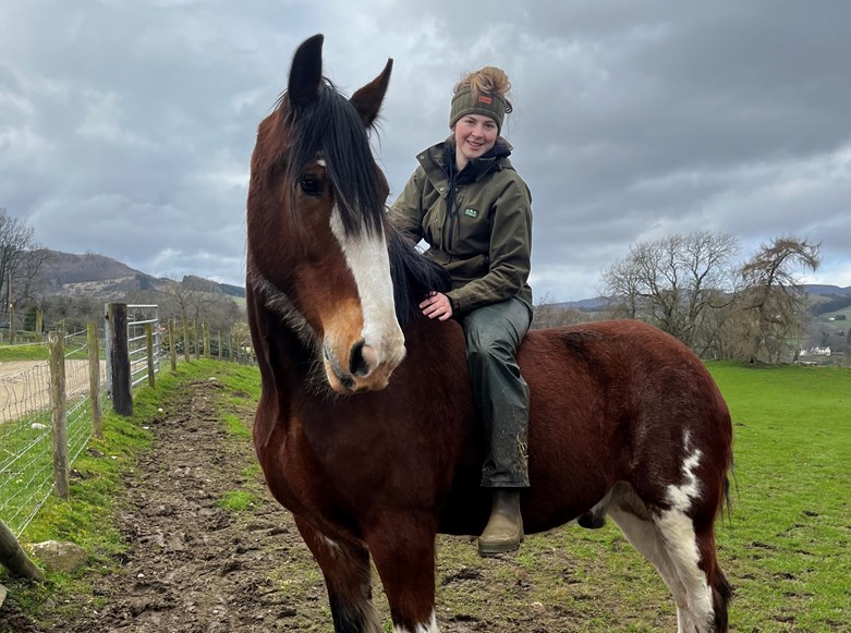 Young woman sitting on a horse on a farm.