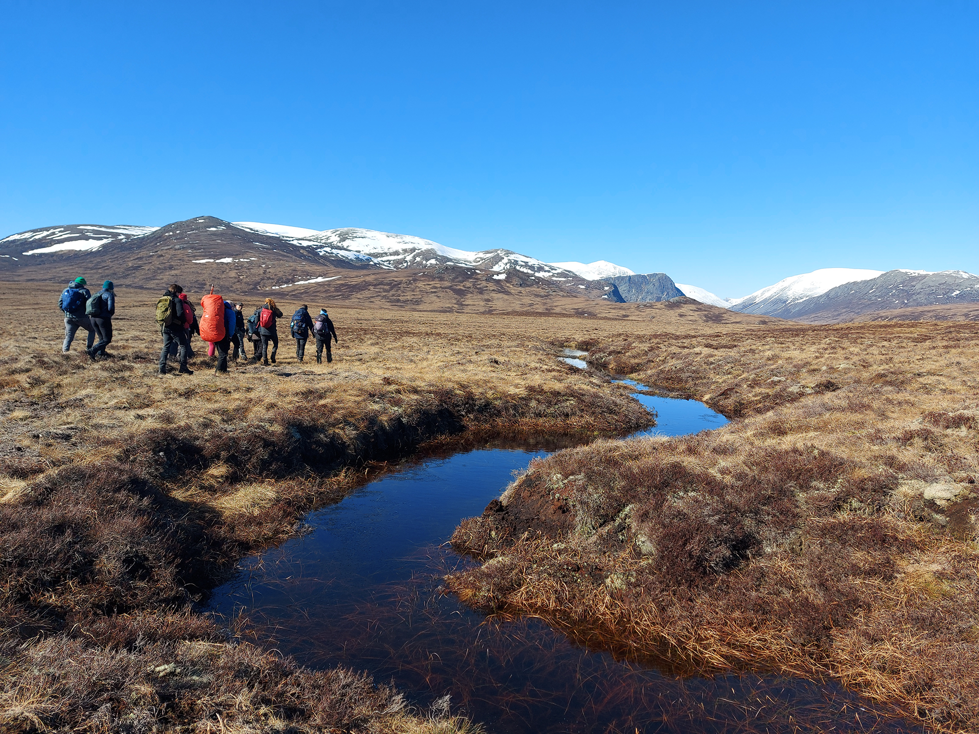 BSc (Hons) Wildlife And Conservation Management | SRUC