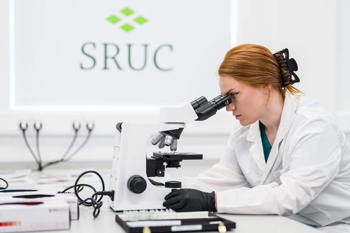 SRUC School Of Veterinary Medicine